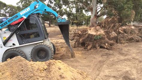 skid steer stump bucket youtube|stump remover for skid steer.